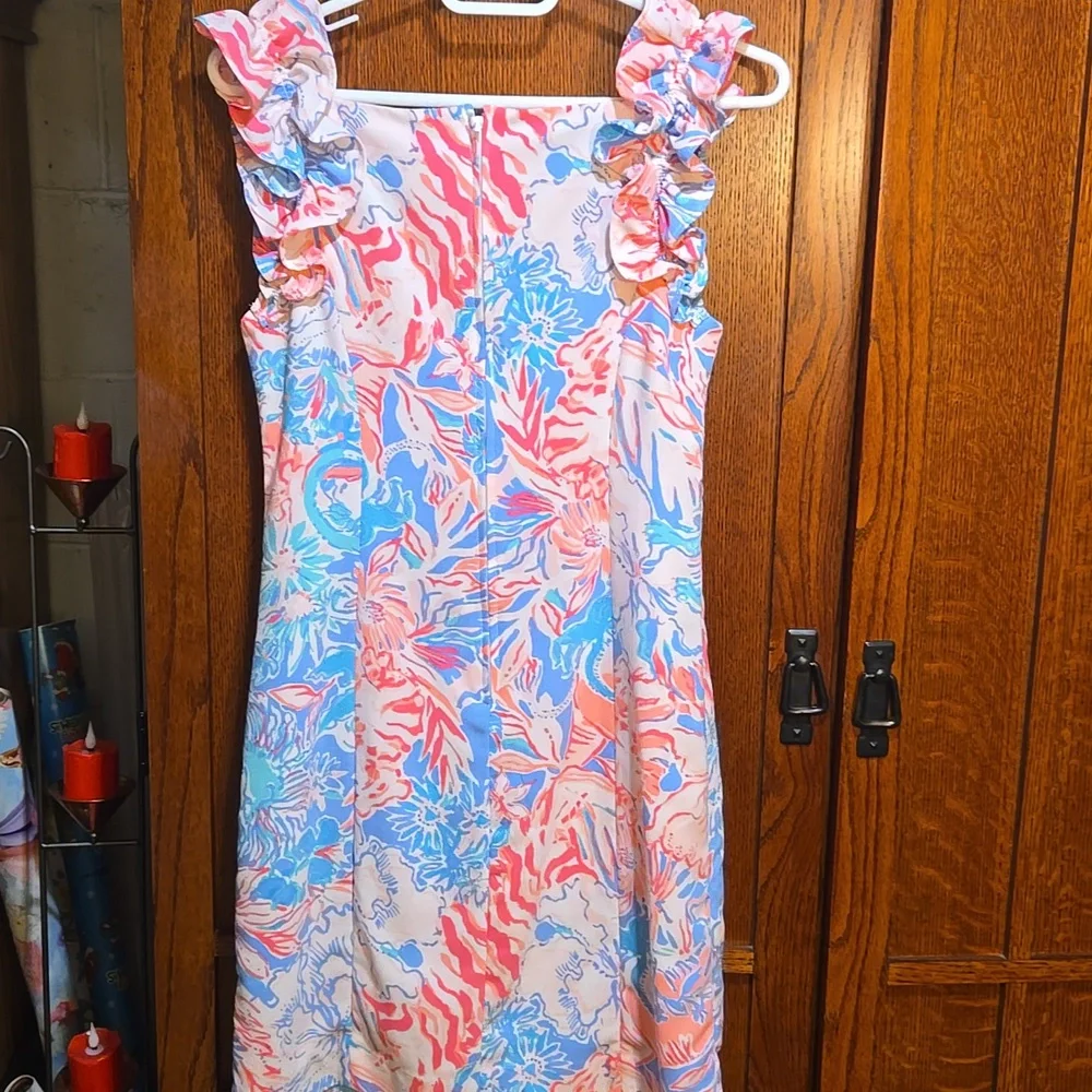 Size 0 Lily Pulitzer Dress - Picture 6 of 8